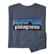 Camiseta Manga Larga Patagonia P-6 Logo Plume Grey